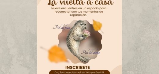 La vuelta a casa