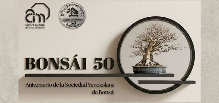 Bonsái 50
